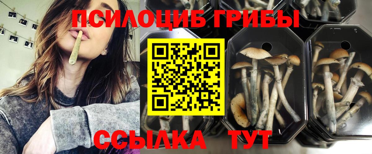 Псилоцибиновые грибы ЛСД  купить наркоту  Брянск  Вход с VPN 
