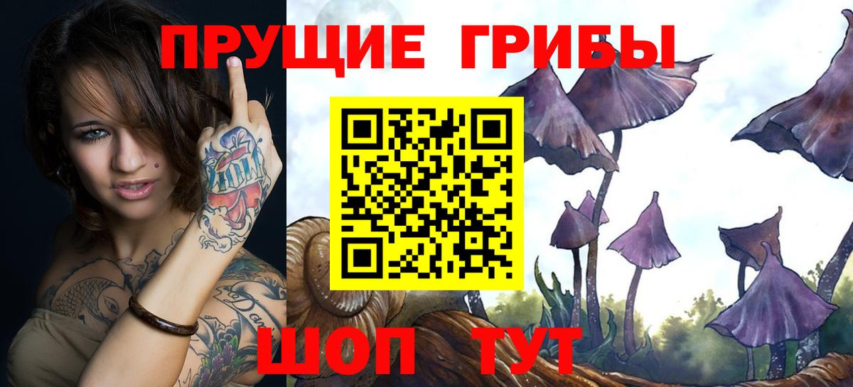 Псилоцибиновые грибы MAGIC MUSHROOMS Брянск